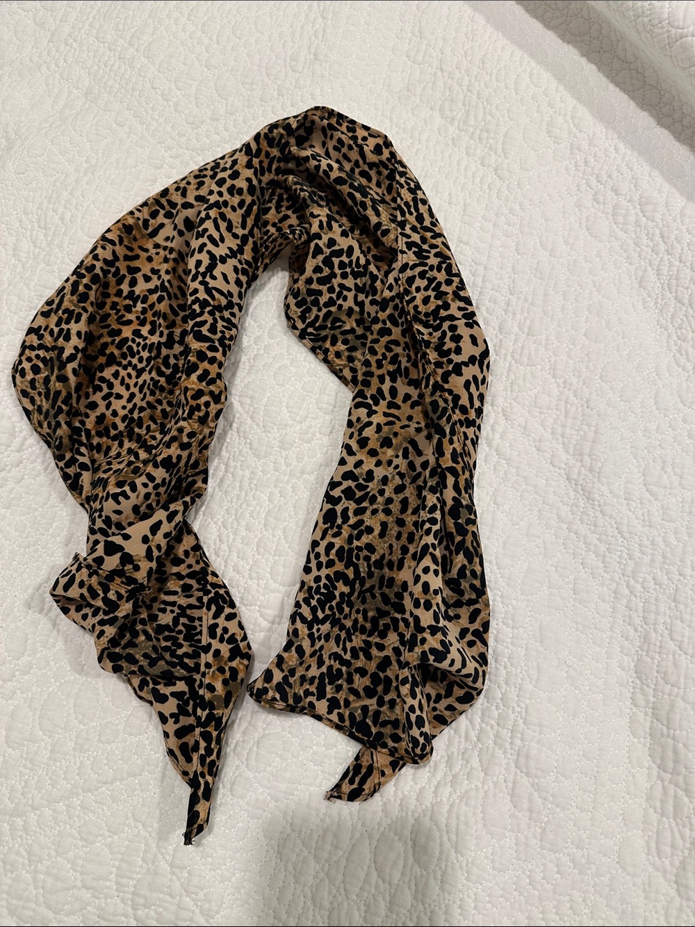 Leopard Print Scarf in Black and Tan